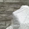 Rain Lace Ivory - Sold by the half yard