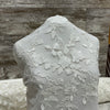 Gardenia Grace 03 - Sold by the half yard
