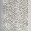 Ivory Trim - Twinkling Fern | Sold by the half yard